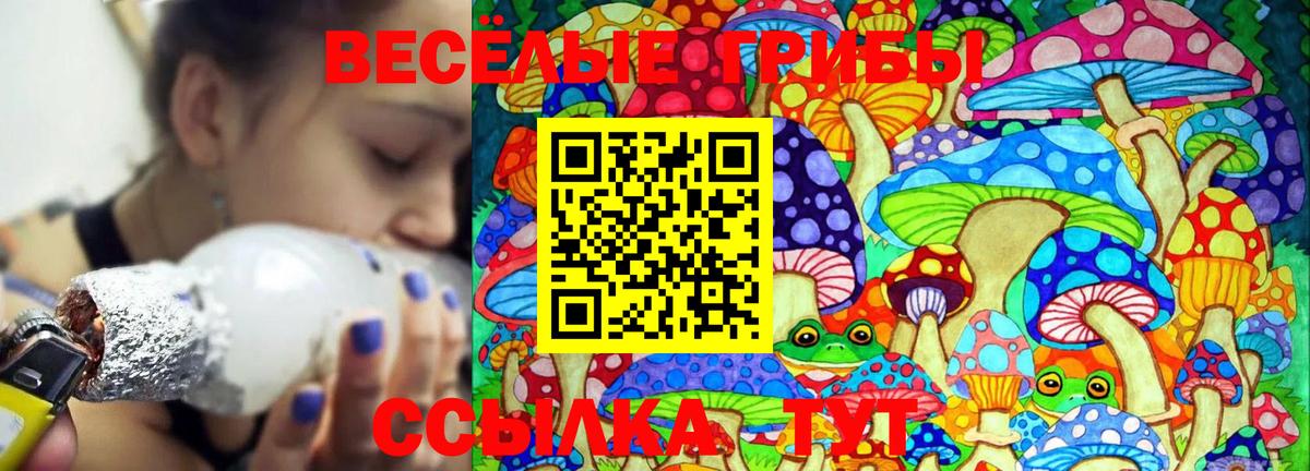 цены   Псилоцибиновые грибы MAGIC MUSHROOMS  Вход с VPN  Муром 